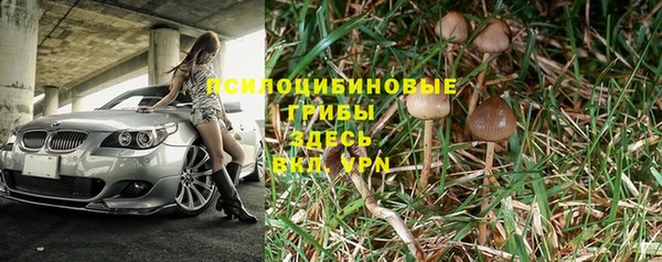 каннабис Бородино