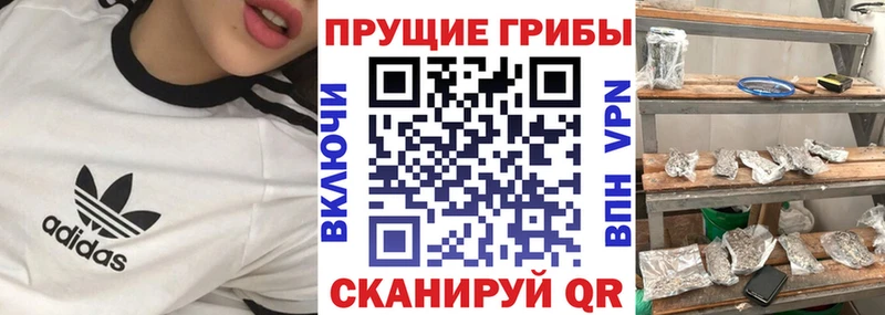 Псилоцибиновые грибы прущие грибы  как найти закладки  mega ONION  Мурманск 