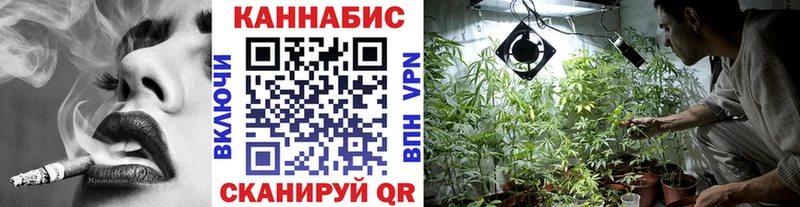 Бошки марихуана сатива Мурманск